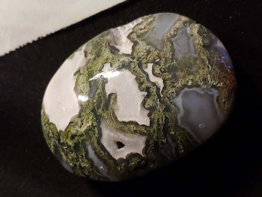 돌산거 왔다_1.jpg