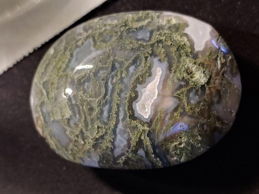 돌산거 왔다_2.jpg