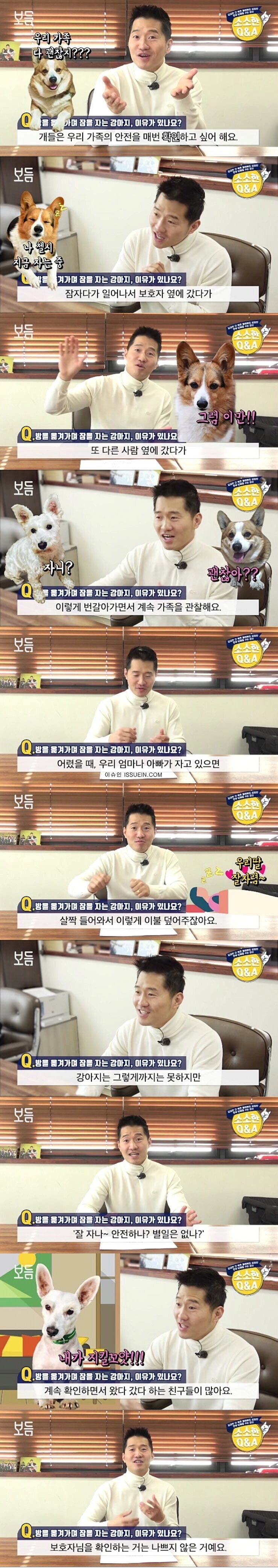반려견이 방을 옮겨가며 자는 이유_1.png
