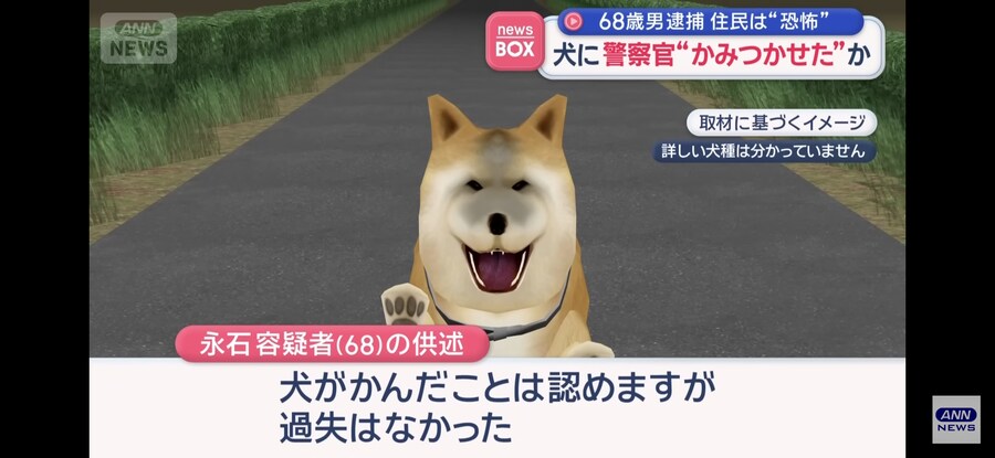 일본)개가 개를 키우는 개판인 상황_6.jpg