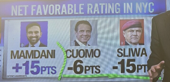 미국)뉴욕시장 여론조사_2.jpg