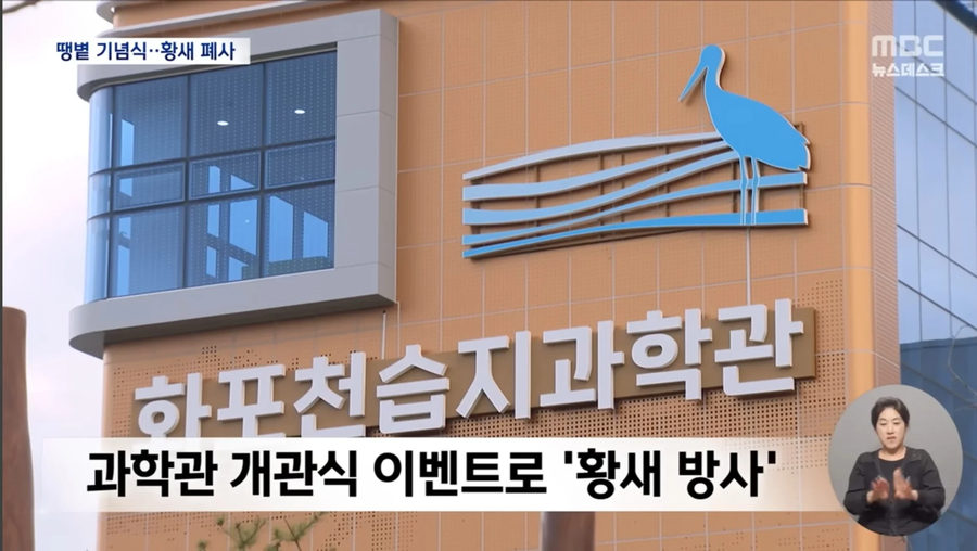 한국식 보여주기 문화의 폐해.jpg_7.webp