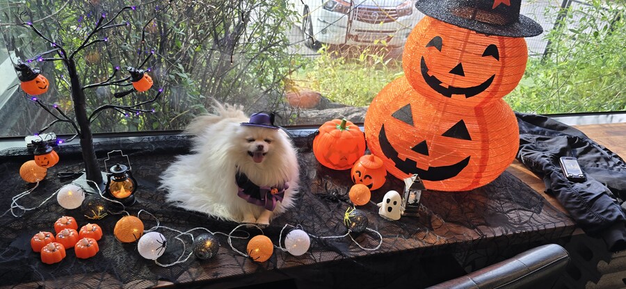 (공포주의) 마녀 사진 ㄷㄷㄷㄷㄷ_2.jpg