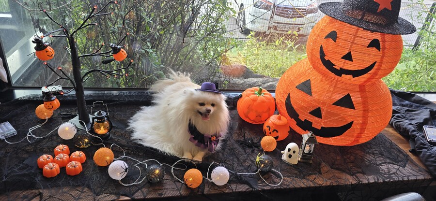 (공포주의) 마녀 사진 ㄷㄷㄷㄷㄷ_5.jpg