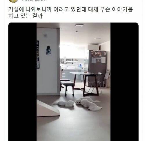 야야 쉿 쟤 나왔다._1.jpg