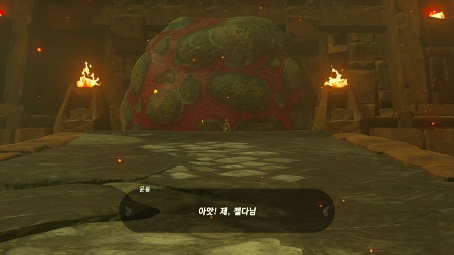 젤다의 전설 티어즈 오브 더 킹덤_6.png