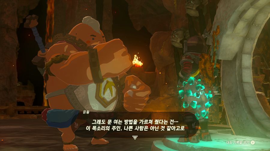 젤다의 전설 티어즈 오브 더 킹덤_11.png