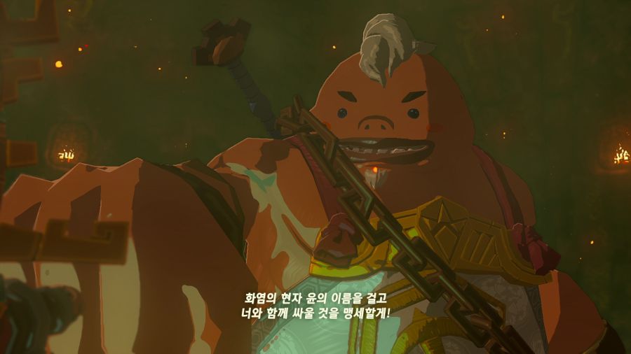 젤다의 전설 티어즈 오브 더 킹덤_32.png