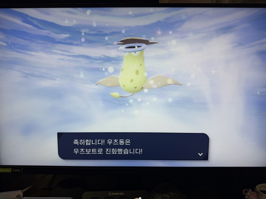 포켓몬) W랭이다_4.jpg