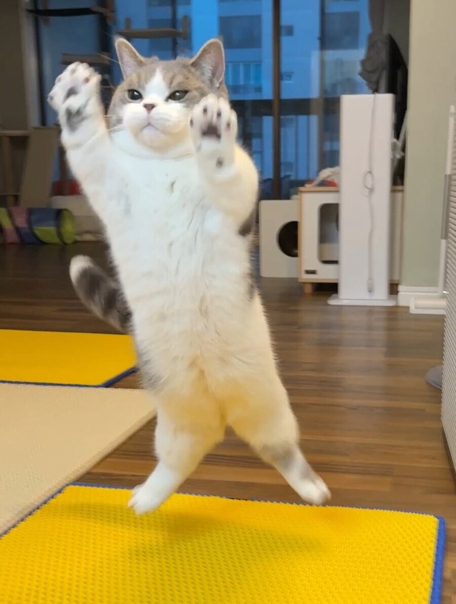 ???: 요새 영화표값이 너무 비싸_4.jpg