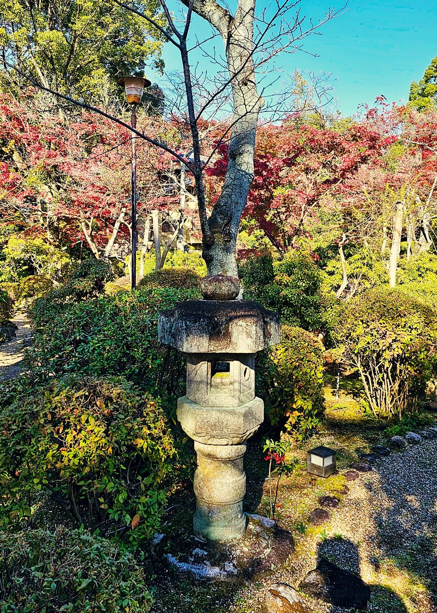 [스압초주의] " 간사이 오사카, 고베, 교토, 나라 여행 일기... "_155.jpg