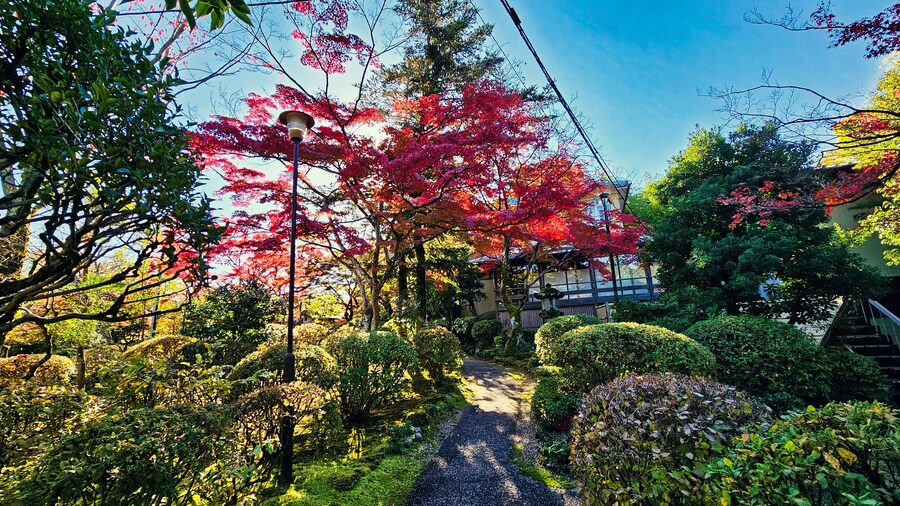 [스압초주의] " 간사이 오사카, 고베, 교토, 나라 여행 일기... "_157.jpg