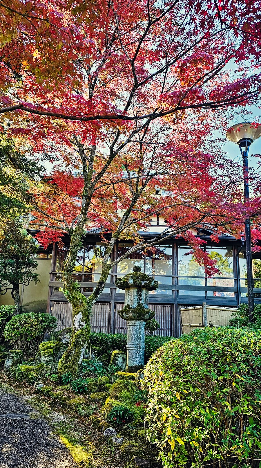 [스압초주의] " 간사이 오사카, 고베, 교토, 나라 여행 일기... "_158.jpg