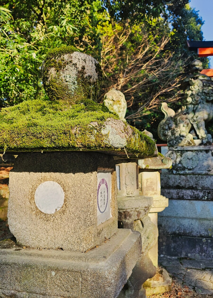 [스압초주의] " 간사이 오사카, 고베, 교토, 나라 여행 일기... "_178.jpg