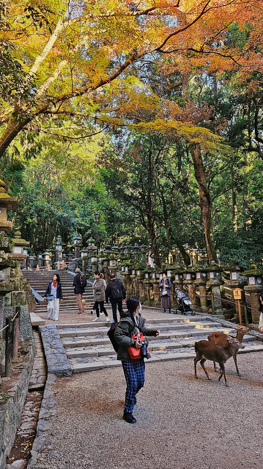 [스압초주의] " 간사이 오사카, 고베, 교토, 나라 여행 일기... "_181.jpg