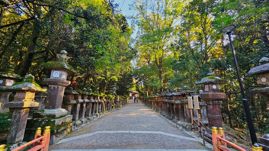 [스압초주의] " 간사이 오사카, 고베, 교토, 나라 여행 일기... "_183.jpg