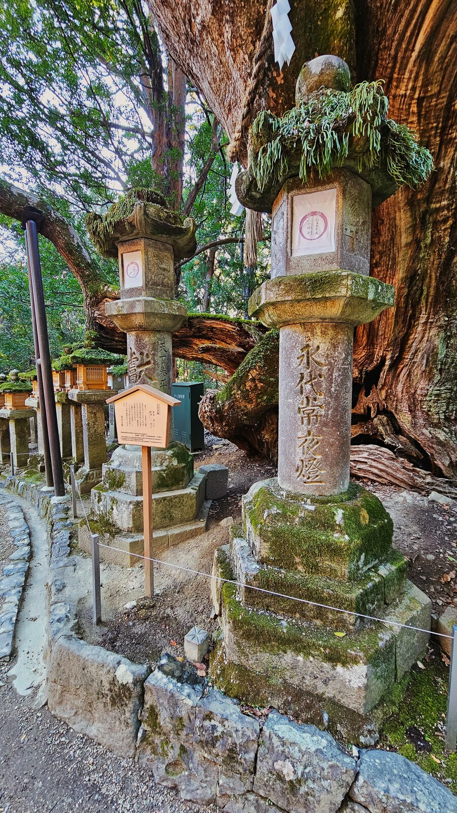 [스압초주의] " 간사이 오사카, 고베, 교토, 나라 여행 일기... "_188.jpg