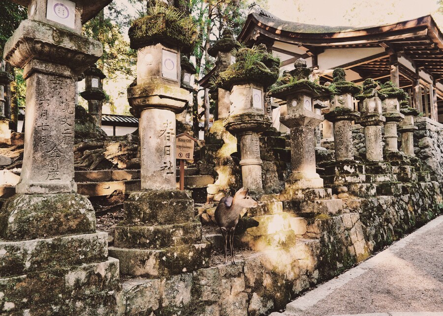 [스압초주의] " 간사이 오사카, 고베, 교토, 나라 여행 일기... "_205.jpg