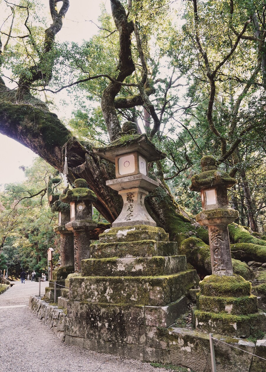 [스압초주의] " 간사이 오사카, 고베, 교토, 나라 여행 일기... "_217.jpg