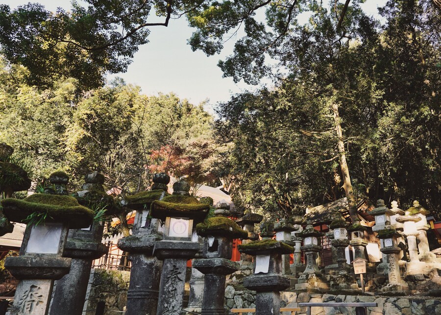 [스압초주의] " 간사이 오사카, 고베, 교토, 나라 여행 일기... "_224.jpg