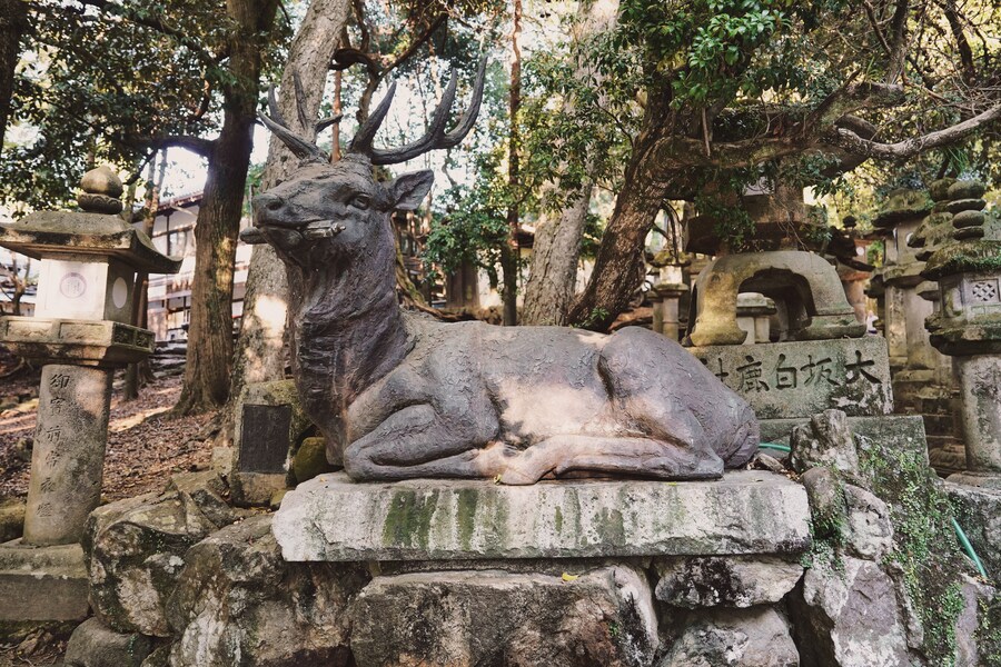 [스압초주의] " 간사이 오사카, 고베, 교토, 나라 여행 일기... "_237.jpg