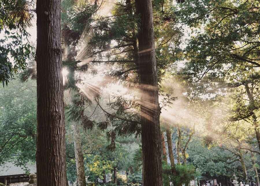 [스압초주의] " 간사이 오사카, 고베, 교토, 나라 여행 일기... "_238.jpg