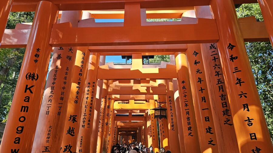 [스압초주의] " 간사이 오사카, 고베, 교토, 나라 여행 일기... "_296.jpg