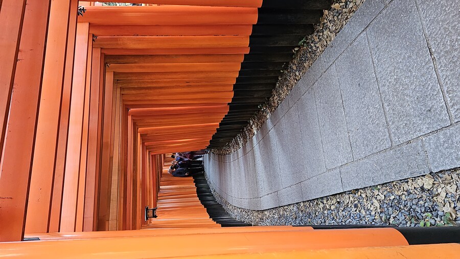 [스압초주의] " 간사이 오사카, 고베, 교토, 나라 여행 일기... "_297.jpg