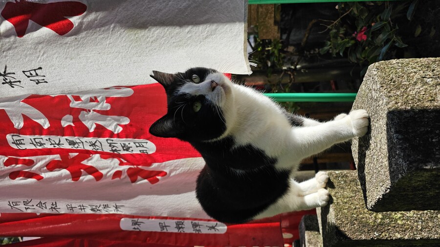 [스압초주의] " 간사이 오사카, 고베, 교토, 나라 여행 일기... "_329.jpg