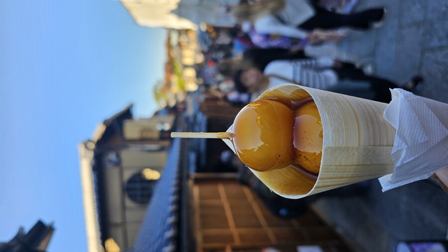 [스압초주의] " 간사이 오사카, 고베, 교토, 나라 여행 일기... "_352.jpg