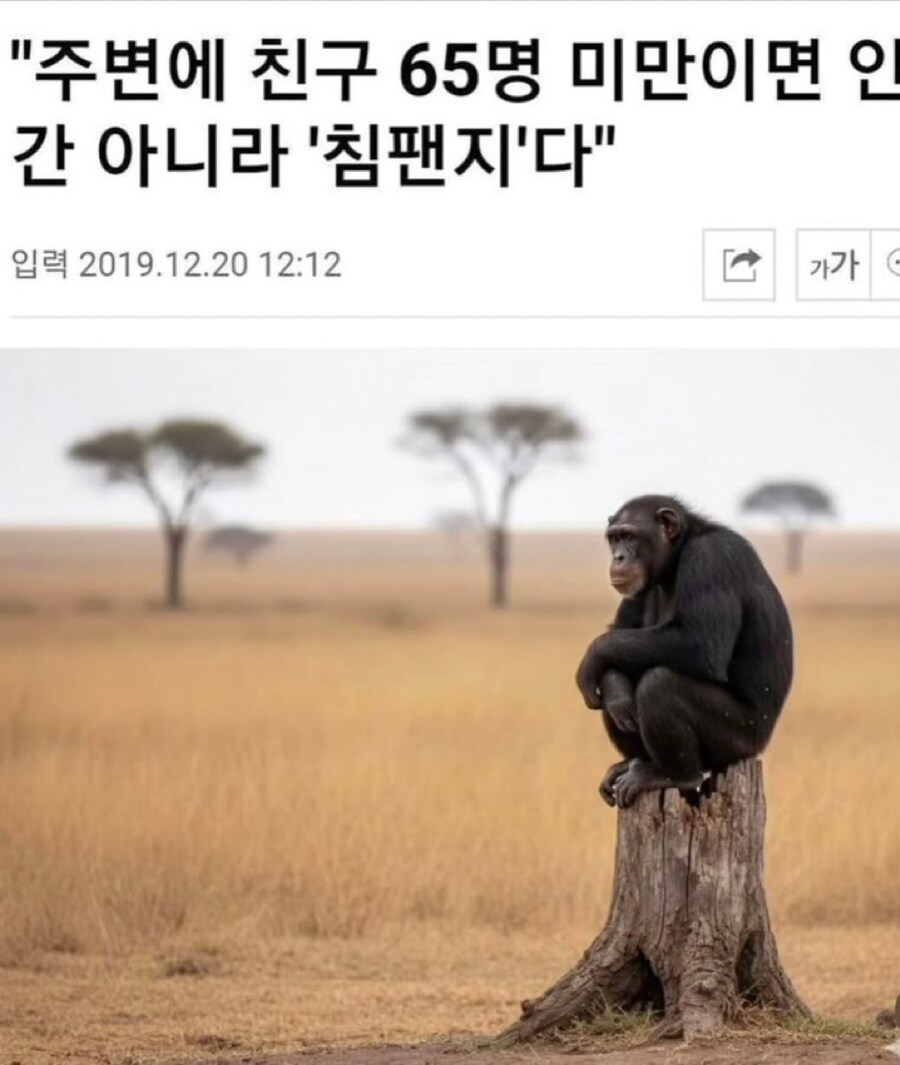 루리웹 침팬치 게시판_1.png
