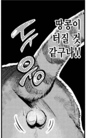 길고양이는 땅콩이 터질거 같았다.manhwa_5.jpg