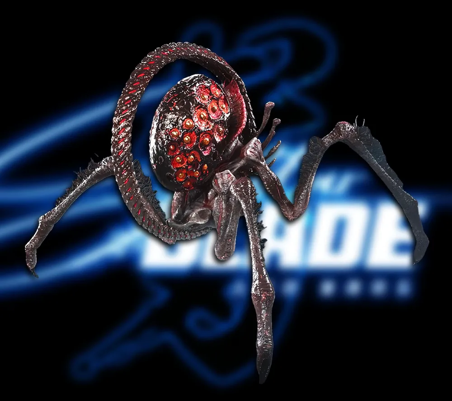 아직도 잘 모르겠는 일반몹들_1.webp