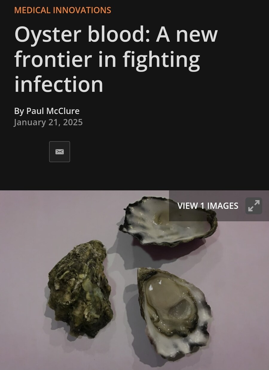 생굴이 인류의 희망인 이유. jpg_1.jpg