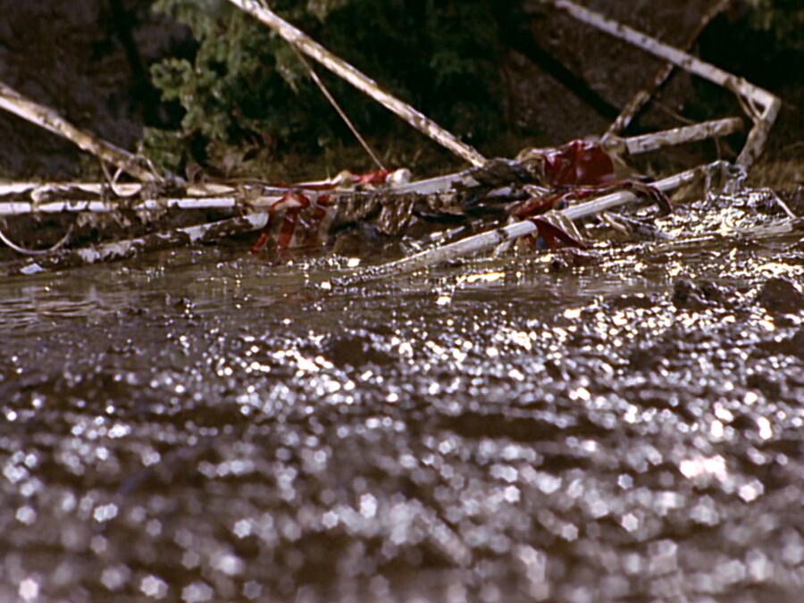 울트라맨 비극적인 결말로 유명한 에피소드_39.png