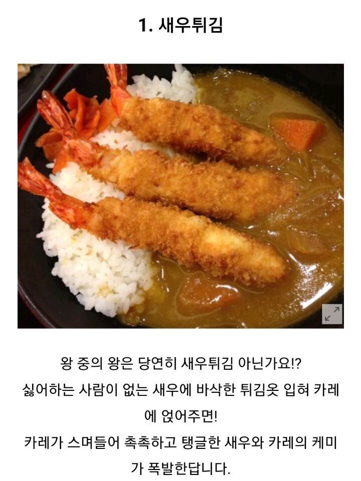 카레라이스 최고의 토핑 고르기.jpg_1.jpg