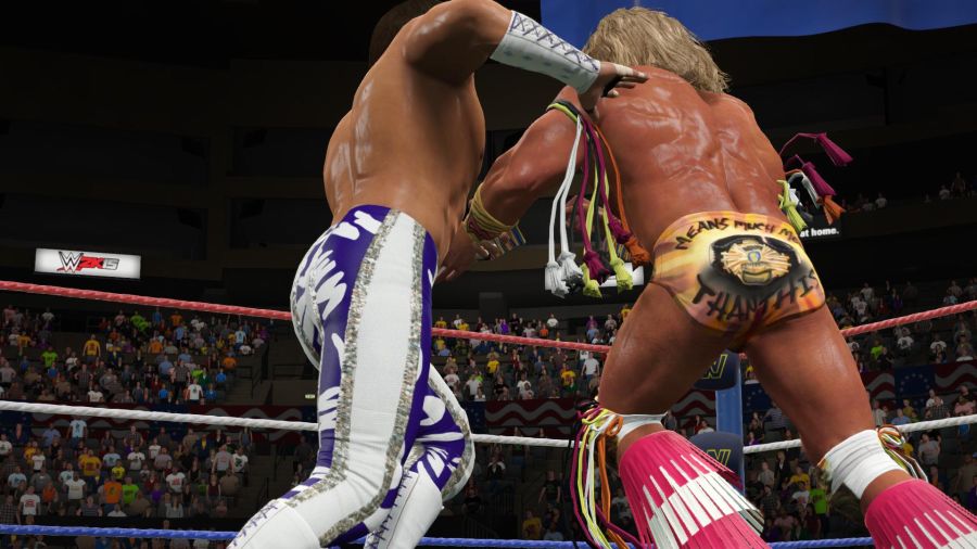 WWE 2K15_3.jpg