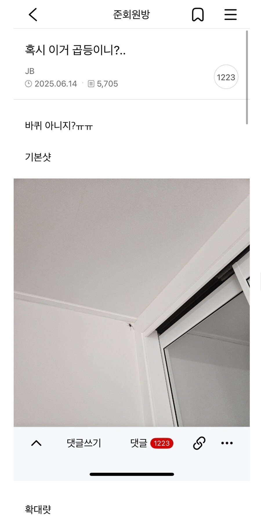 혐) 혹시 이거 곱등이니?.._1.jpg