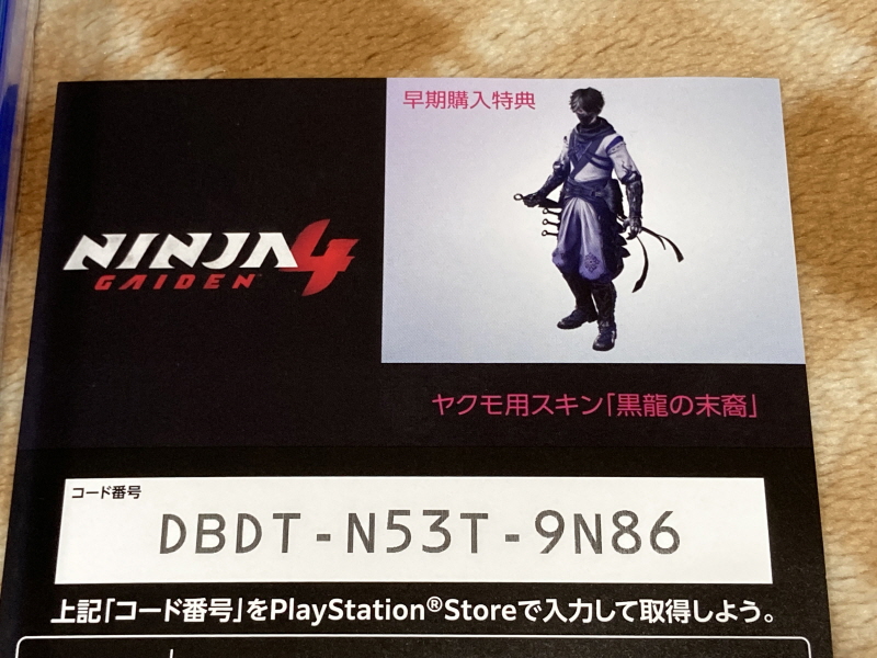 닌자 가이덴 4 (NINJA GAIDEN 4)_8.jpg