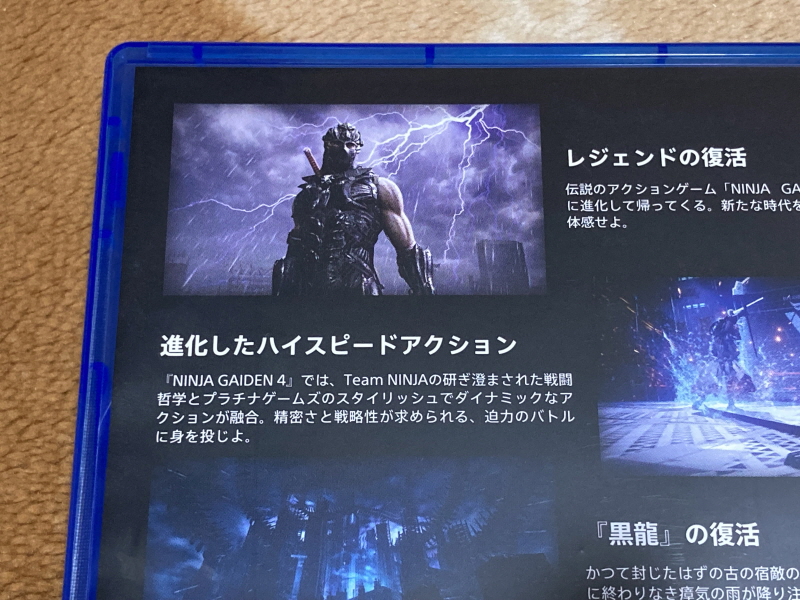 닌자 가이덴 4 (NINJA GAIDEN 4)_19.jpg