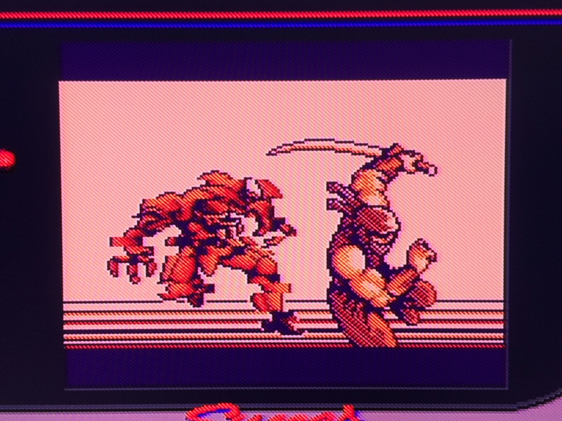 닌자 가이덴 4 (NINJA GAIDEN 4)_209.jpg