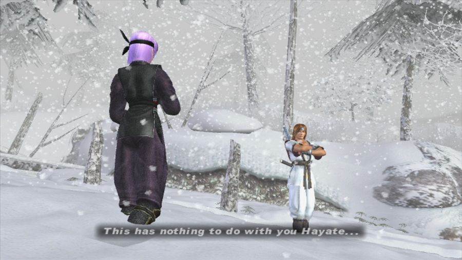 DEAD OR ALIVE 3_18.jpg