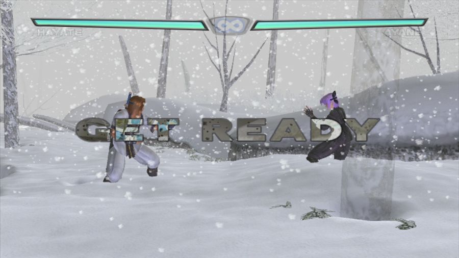 DEAD OR ALIVE 3_20.jpg