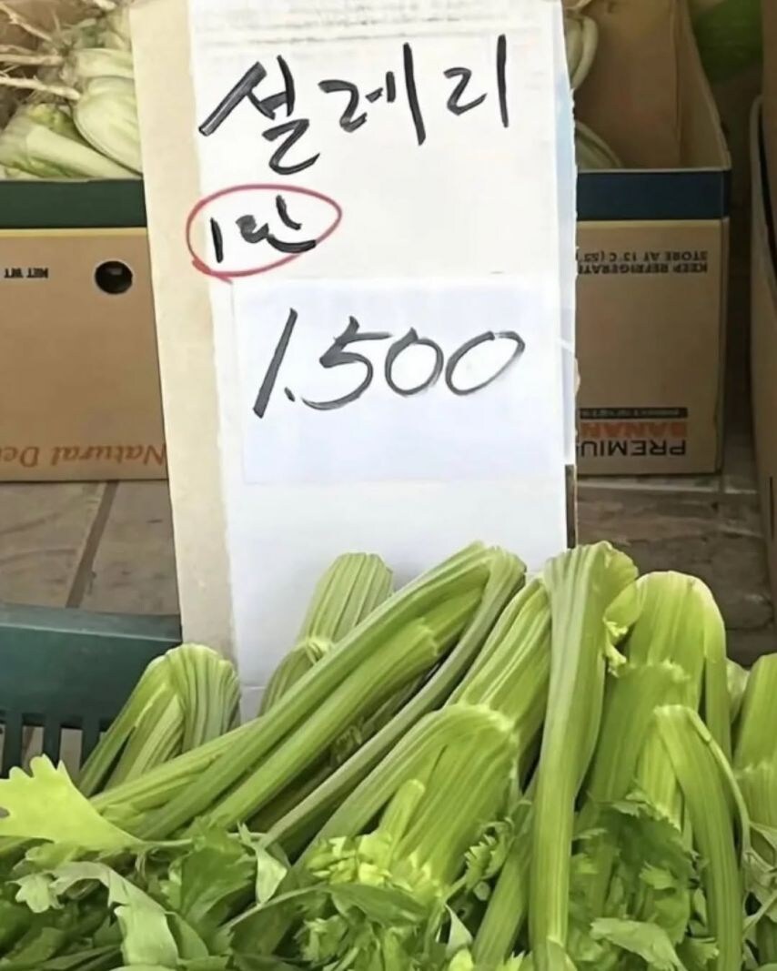 강한 자들만 살아남는 K-마켓.jpg_2.jpg