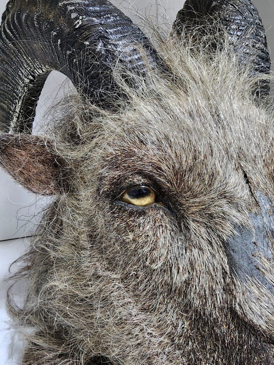 영화 제작에 실제로 사용된 소품 컬렉션_7.jpg