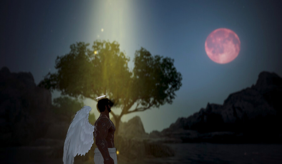 검은사막 안헬리온 의상_8.jpg