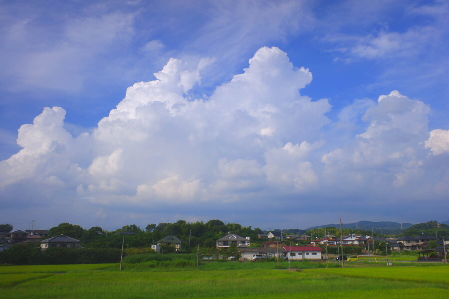 교토 너머, 근교 여행 3부(초스압) - 우지, 교토_4.jpg