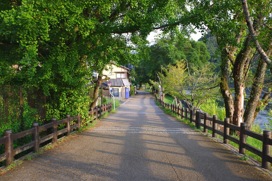 교토 너머, 근교 여행 3부(초스압) - 우지, 교토_24.jpg