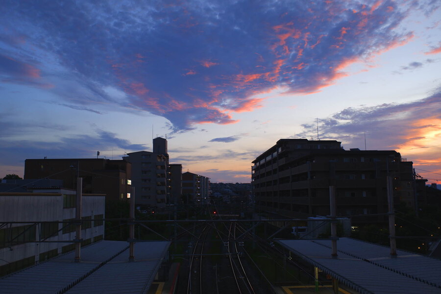 교토 너머, 근교 여행 3부(초스압) - 우지, 교토_44.jpg