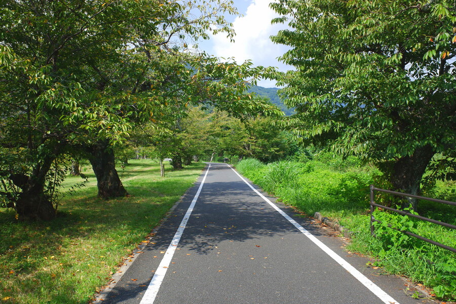 교토 너머, 근교 여행 3부(초스압) - 우지, 교토_68.jpg